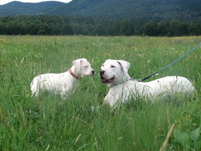 Tula & prijatelji - foto povečava