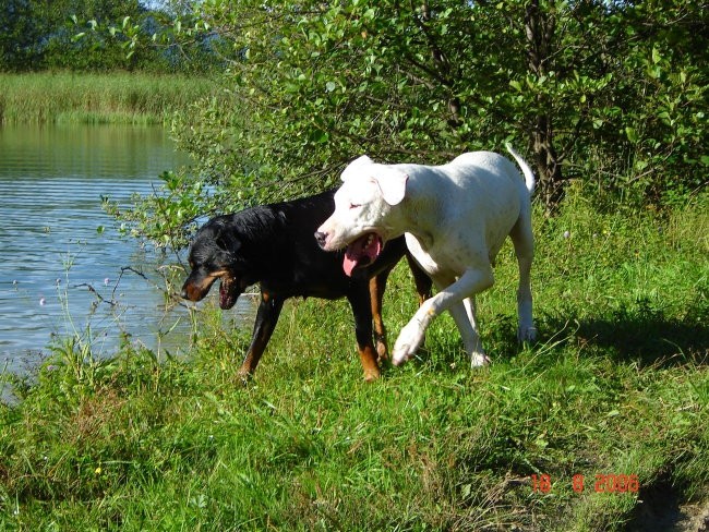 Brezje, 18.8.06 - foto povečava