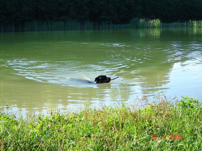 Brezje, 18.8.06 - foto povečava