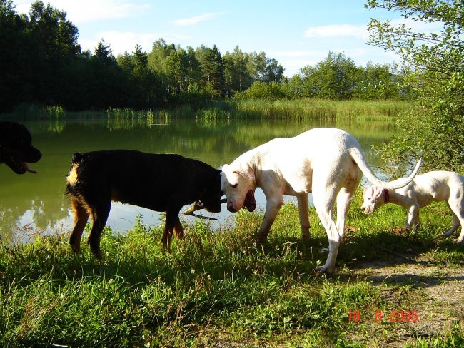 Brezje, 18.8.06 - foto povečava