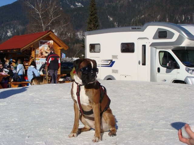 Kranjska Gora - foto