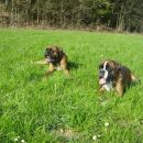 Tango&Tay