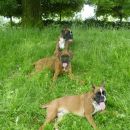 Etna&Tia&Tay