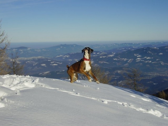 Urslja gora - foto