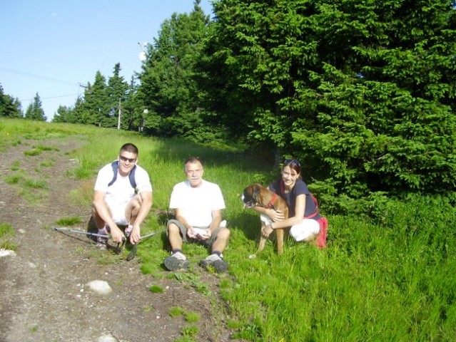Korosko Pohorje - foto