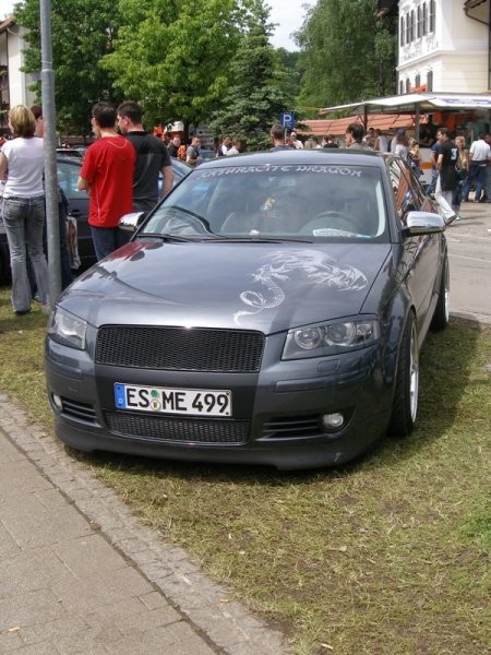 Worthersee VW-GTI Show 2006 - Cars - foto