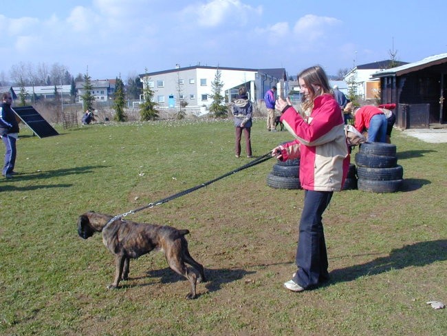 Vzrejni pregled - foto povečava