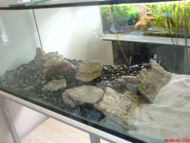 Nov akvarij - foto