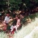 Jalovec 1996.