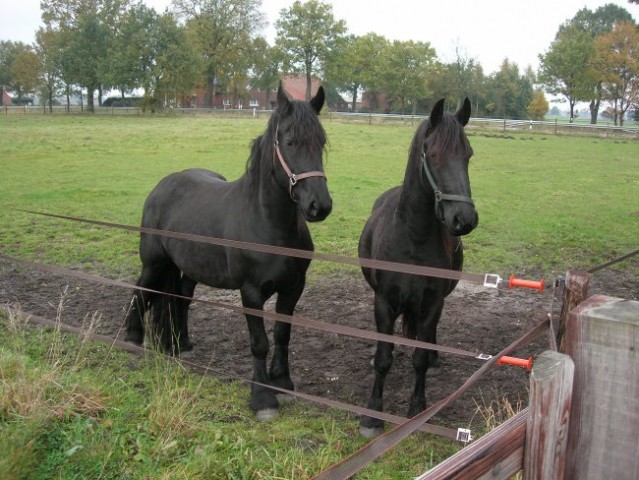 Freda- prvič - foto