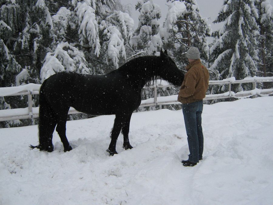 Fredau na snegu 9.1.2010 - foto povečava