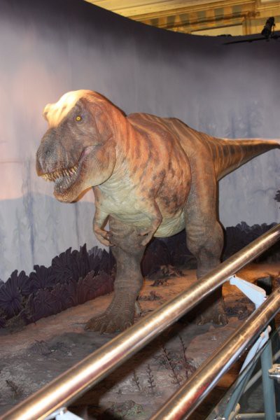 T-Rex je strašen! Buuuaaa! 