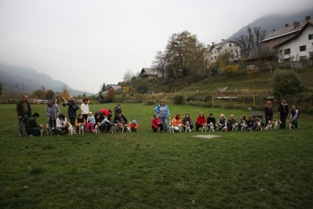 Beagle piknik Hrušica - foto