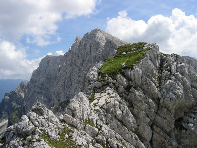 Travnat 