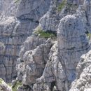 Mala špica z vrha Divje koze; levo pod njenim vrhom poteka južna varianta poti Anita Goita