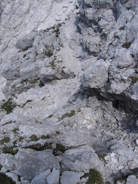 Pot na Trbiško Krniško špico (prag nad polico, ki pelje desno ven iz grape in ki je vidna 
