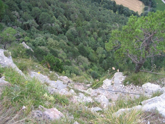 Zadnji metri plezalne poti Pittentaler Klettersteig; viden je borovec, pri katerem se konč
