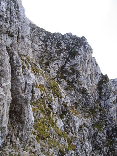 Čez to navpično in izpostavljeno travnato-skalnato pobočje poteka sestop z Zadnje Ponce v 