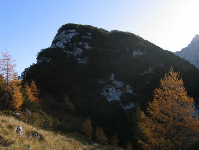 Prvi vrh nad prelazom Čez Drt, kamor sva se prebila naravnost skozi ruševje (strmo in izpo