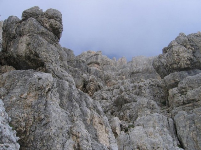 Strmejši teren tik pod vrhom Spodnje Dolkove špice