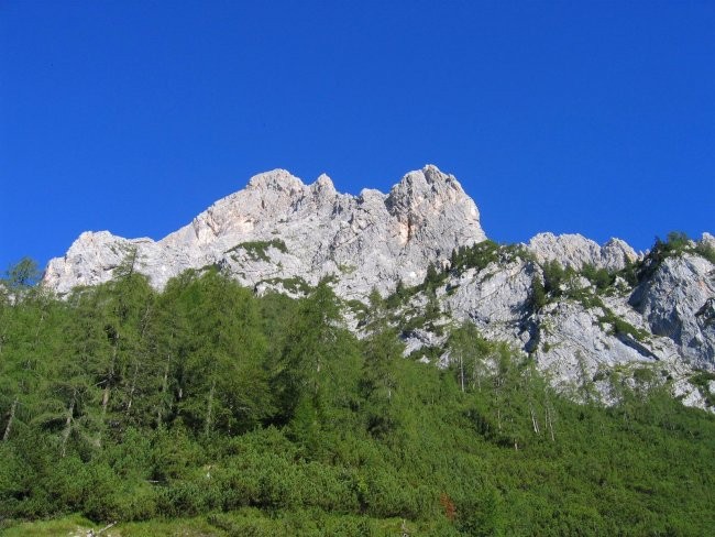 Na tej sliki je lepo vidna poraščena greda pod strmo steno z rumenimi odlomi, ki nas pripe