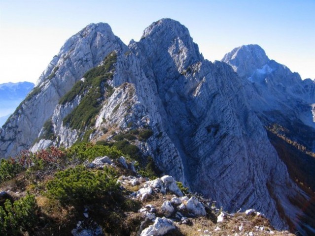 Pogled z Ribežnov proti Srebrnjaku in Bavškemu Grintavcu