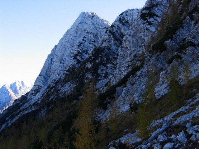 Pogled z melišč pod Srebrnjakom proti Trentskemu Pelcu; tudi na tej sliki je lepo vidna sm
