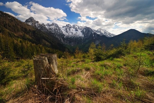 Pokrajinske - foto povečava