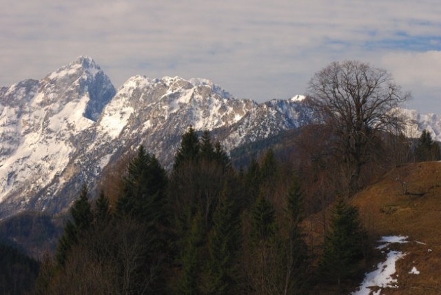 Pokrajinske - foto