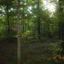 Povratak nazad
22.08.2006 Sjeverno od mene ssume