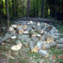 Ova drva nisu bila tu jucce pre podne 
22.08.2006 Sjeverno od mene ssume