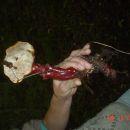 AA6  ssta recci za ovu ???
29.08.2006 SJEVERNE SSUME