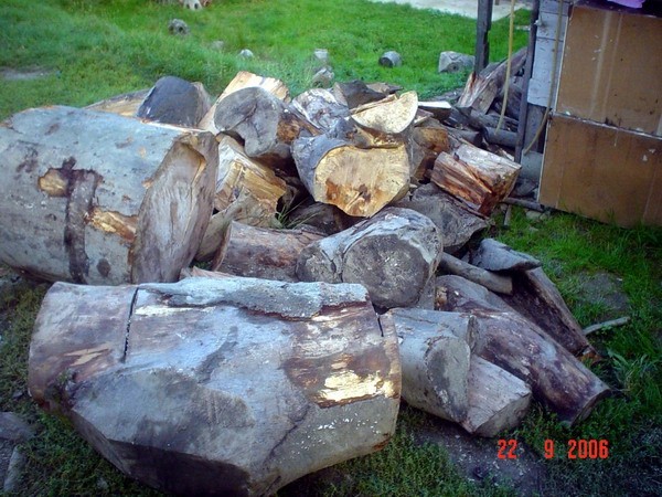Gruba procjena 6 metara drva
trebat cce joss
22.09.2006 Kamenica