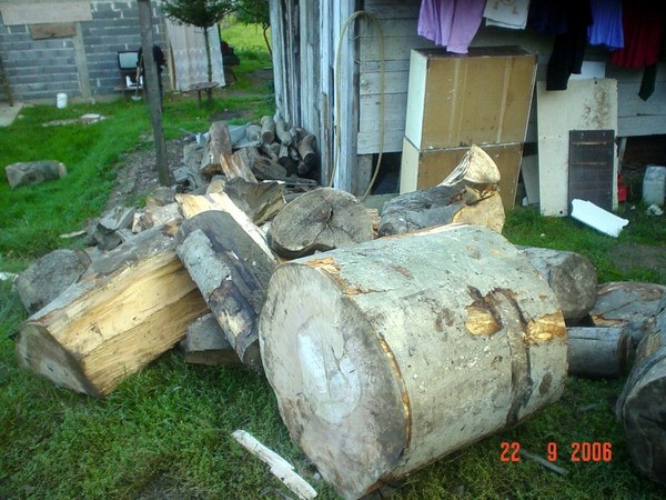 skupljena drva dovuccena pred ssupu za skladisstenje
22.09.2006 Kamenica