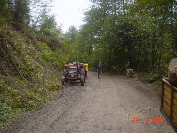 SABIRANJE DRVA - foto povečava