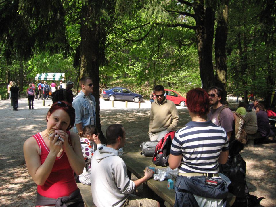 Pot ob žici 2008 - foto povečava