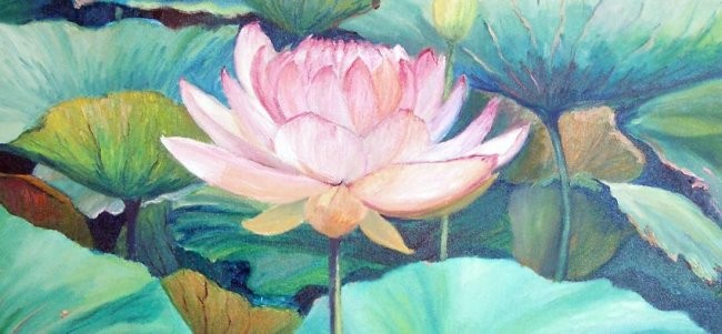 Lotos - foto povečava