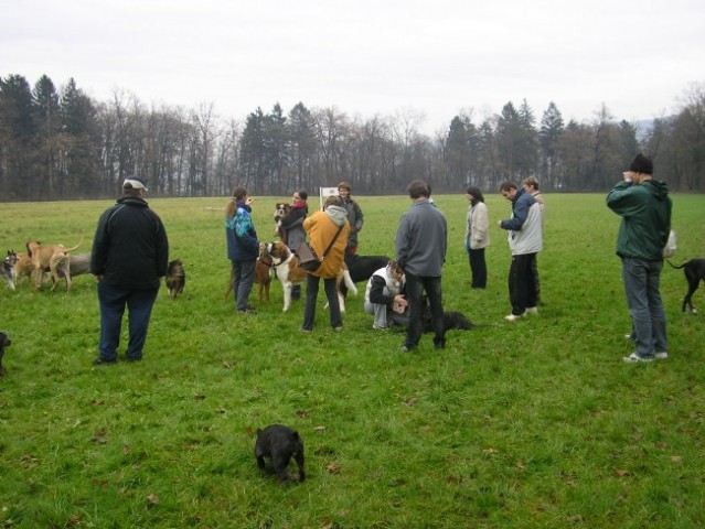 Zajčja dobrava, 4.12.2004 - foto