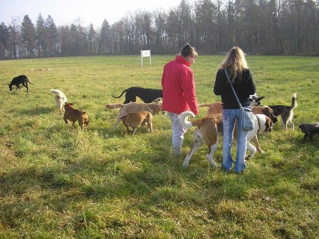 Zajčja dobrava, 11.12.2004 - foto povečava