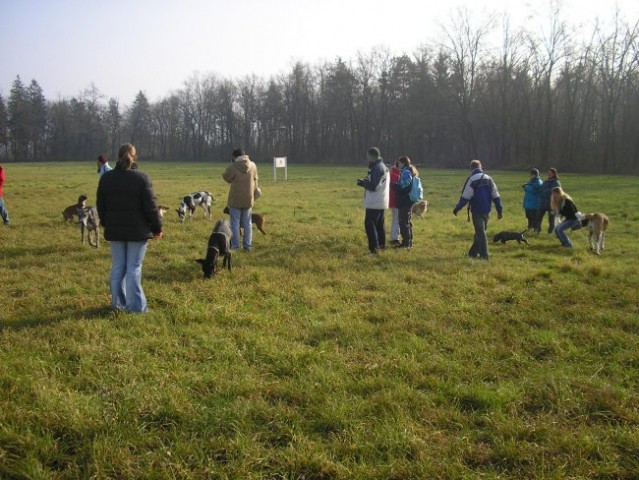 Zajčja dobrava, 11.12.2004 - foto