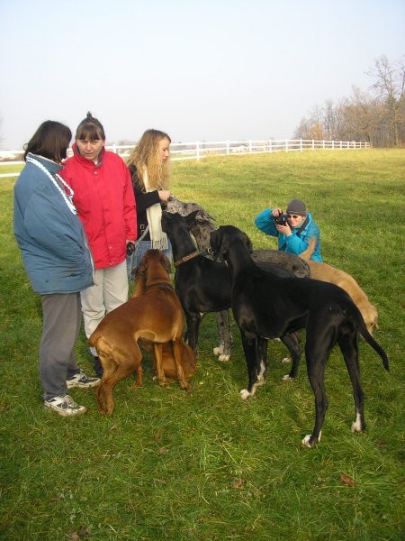 Zajčja dobrava, 11.12.2004 - foto povečava