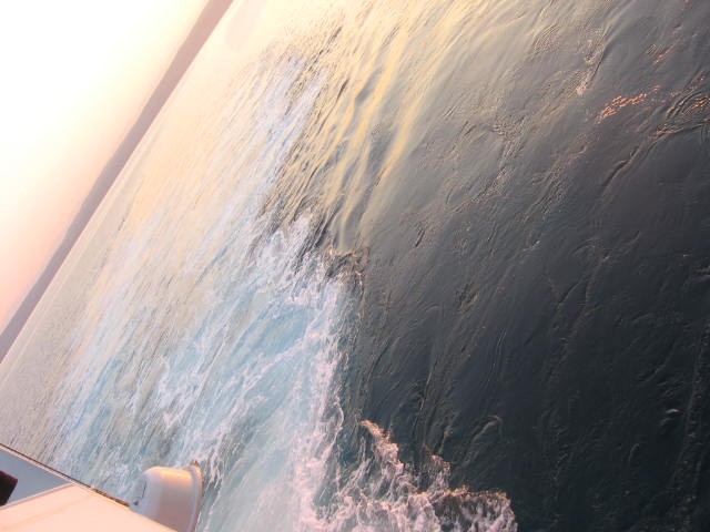 Slike za morja Mali lošinj 30. 7. -4. 8. 06 - foto