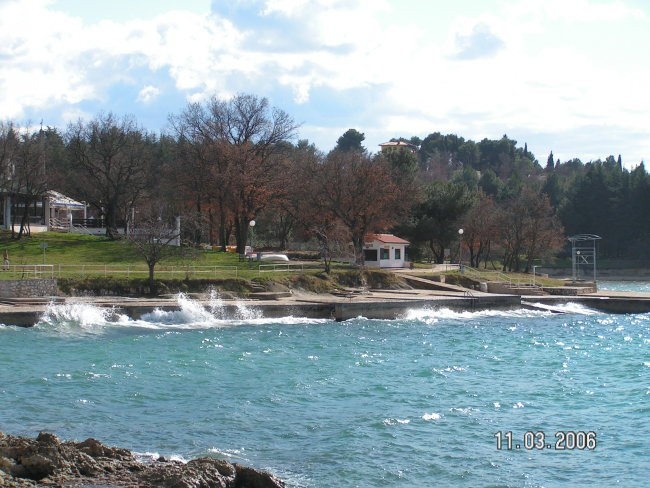 Burja