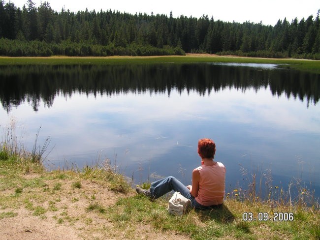 Pohorje - foto povečava