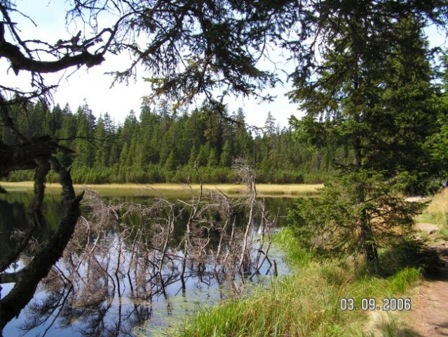 Pohorje - foto