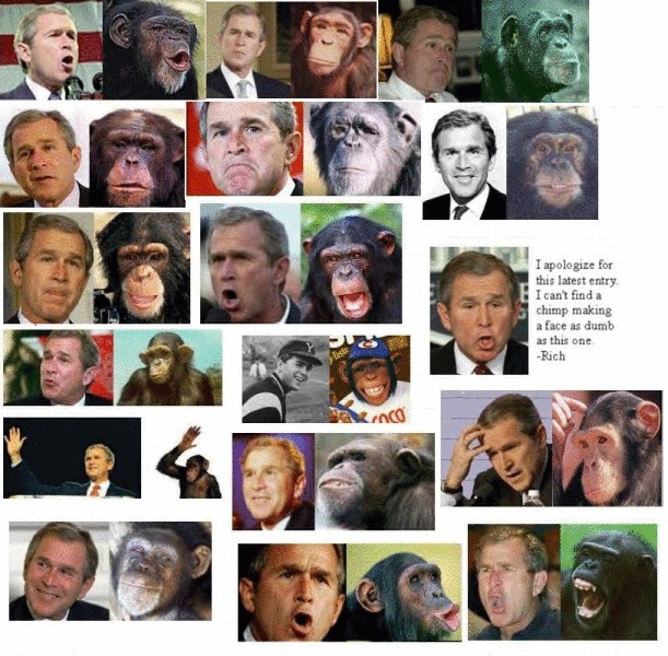 Bush is a monkey