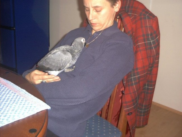Www.svetpapagajev.net