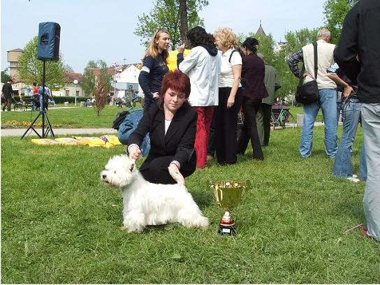 CACIB & CAC BRČKO 2006 - foto povečava