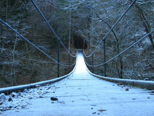 Nekaj slikc - foto