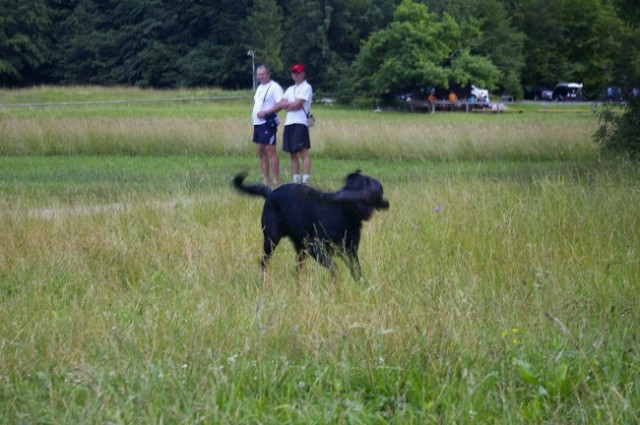 Bohinj 07 - foto